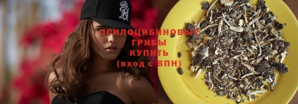 Альфа ПВП Нягань