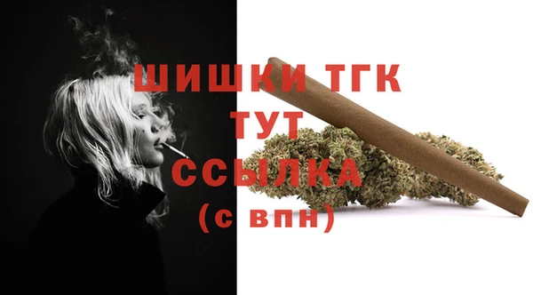 Альфа ПВП Нягань