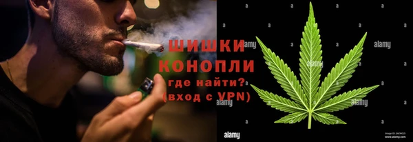 дурь Новодвинск
