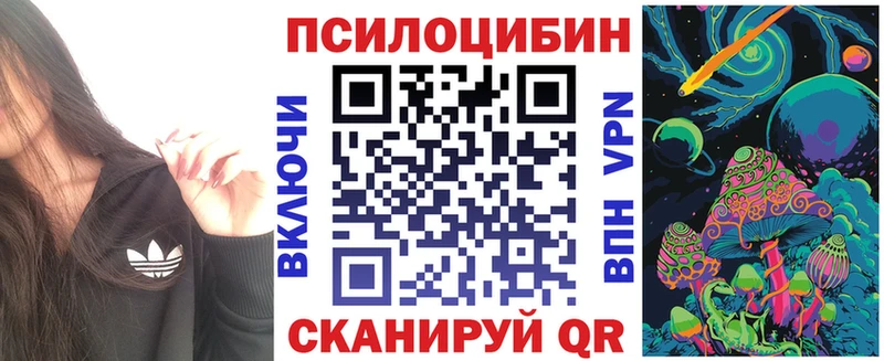 Псилоцибиновые грибы Psilocybe  Покров 